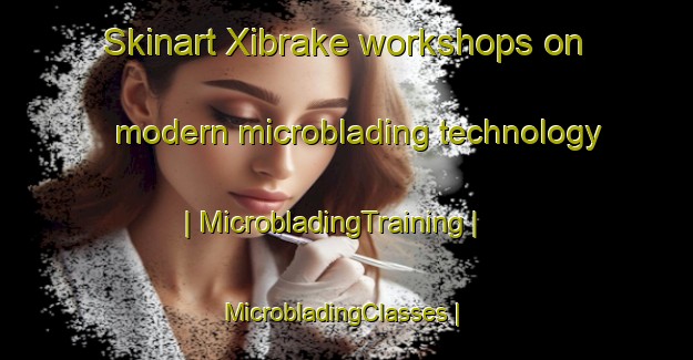 Skinart Xibrake workshops on modern microblading technology | MicrobladingTraining | MicrobladingClasses | SkinartTraining-Albania
